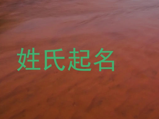 姓氏起名
