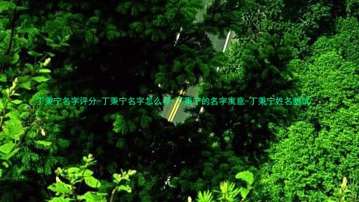 丁秉宁名字评分-丁秉宁名字怎么样-丁秉宁的名字寓意-丁秉宁姓名测试