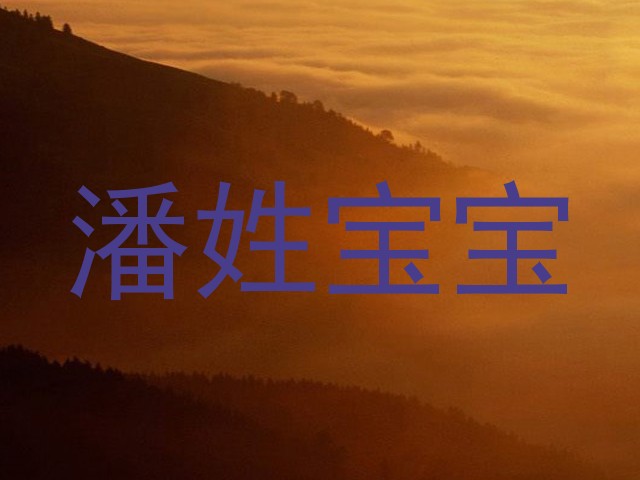 潘姓宝宝