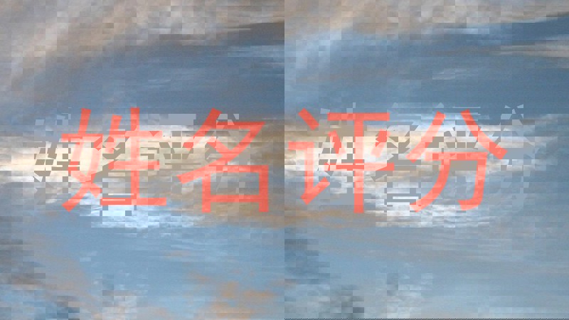 姓名评分