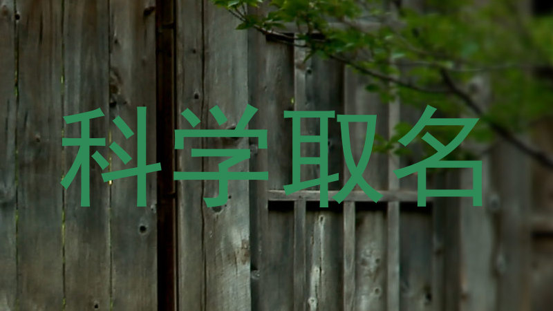 科学取名