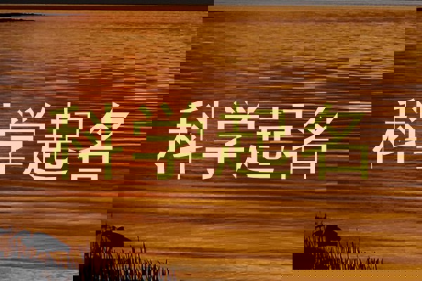 科学起名