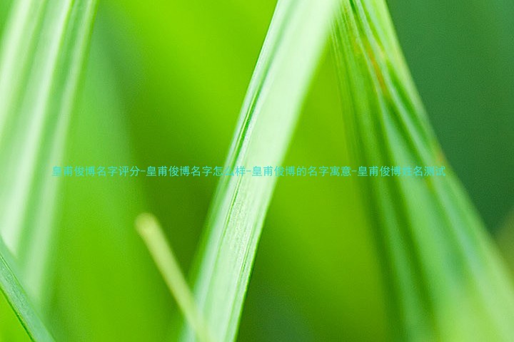 皇甫俊博名字评分-皇甫俊博名字怎么样-皇甫俊博的名字寓意-皇甫俊博姓名测试