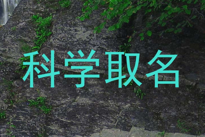科学取名