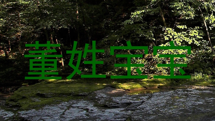董姓宝宝