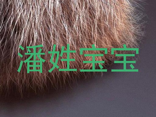潘姓宝宝