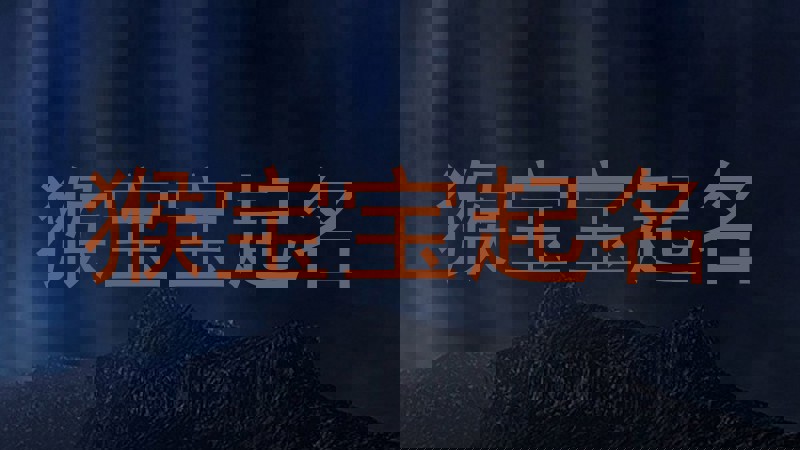 猴宝宝起名