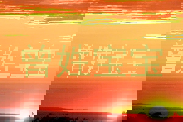 曾姓宝宝