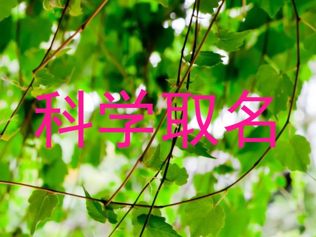 科学取名