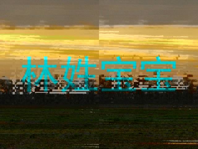 林姓宝宝