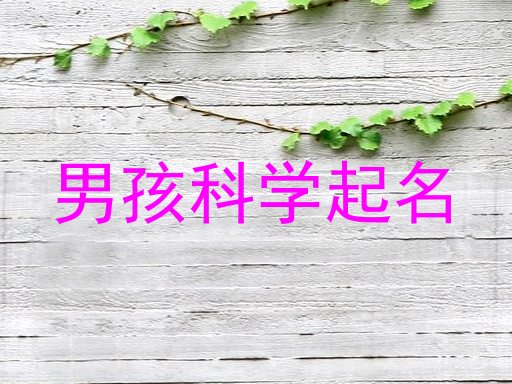 男孩科学起名