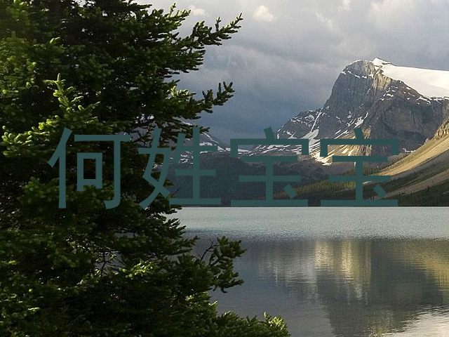 何姓宝宝