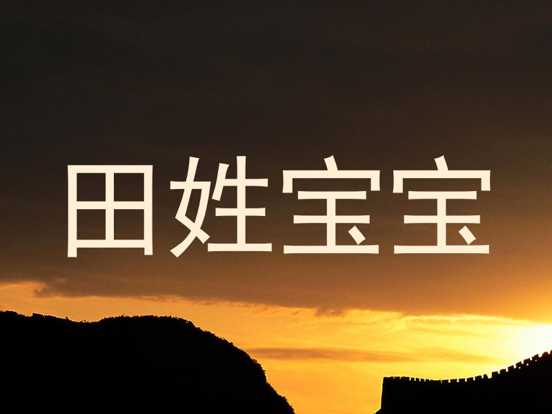 田姓宝宝