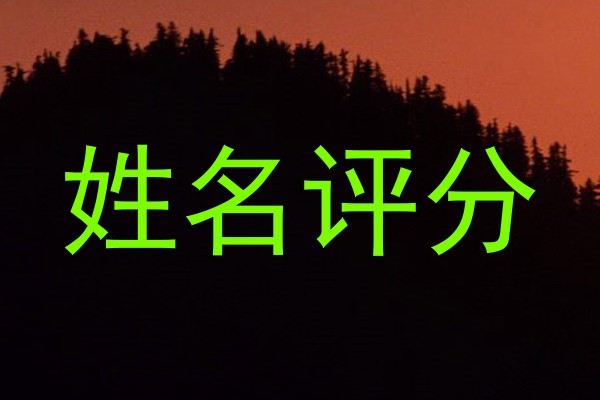 姓名评分