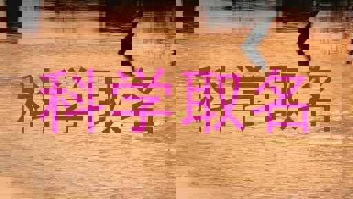 科学取名