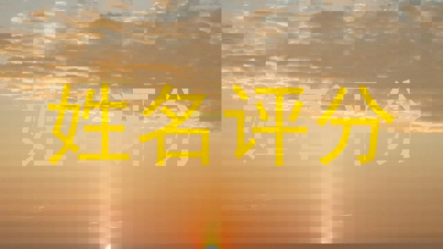 姓名评分