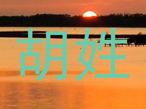 胡姓