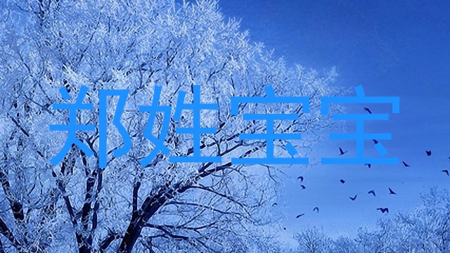 郑姓宝宝