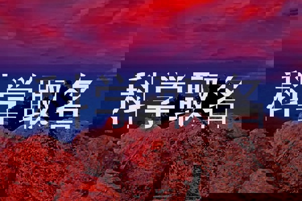 科学取名