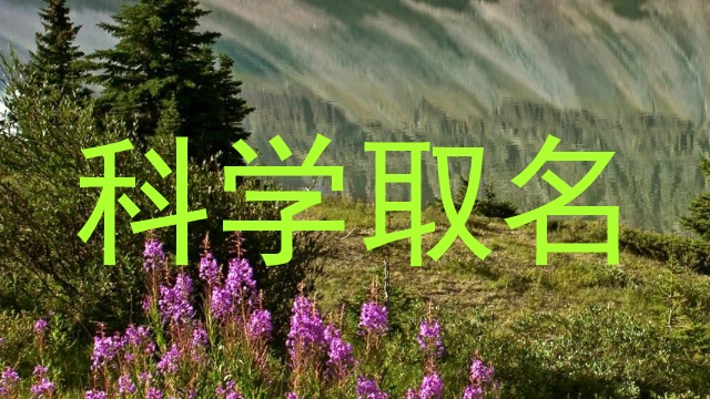 科学取名