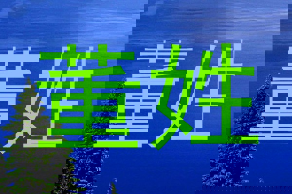 董姓