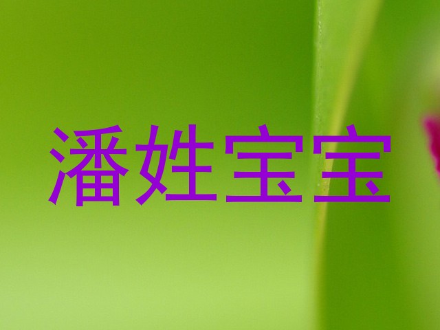 潘姓宝宝