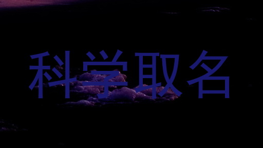 科学取名
