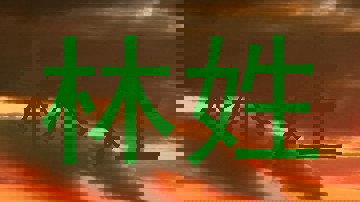 林姓