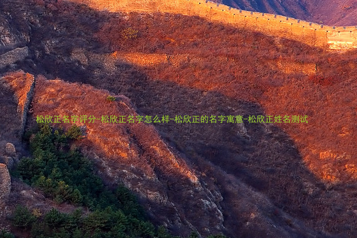 松欣正名字评分-松欣正名字怎么样-松欣正的名字寓意-松欣正姓名测试