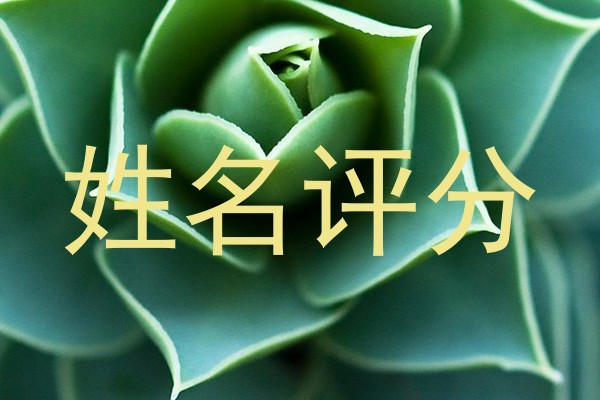 姓名评分
