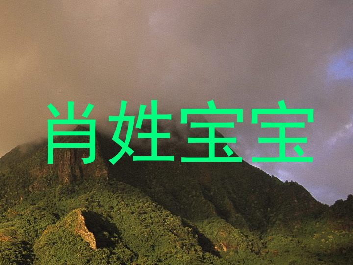 肖姓宝宝