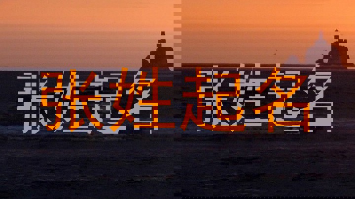 张姓起名