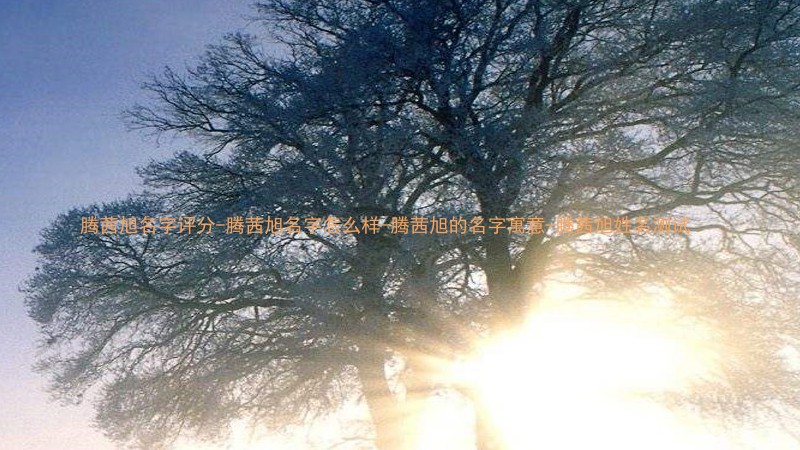 腾茜旭名字评分-腾茜旭名字怎么样-腾茜旭的名字寓意-腾茜旭姓名测试