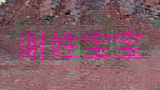 谢姓宝宝