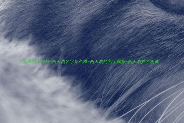 西天浩名字评分-西天浩名字怎么样-西天浩的名字寓意-西天浩姓名测试
