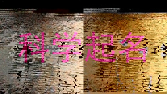 科学起名
