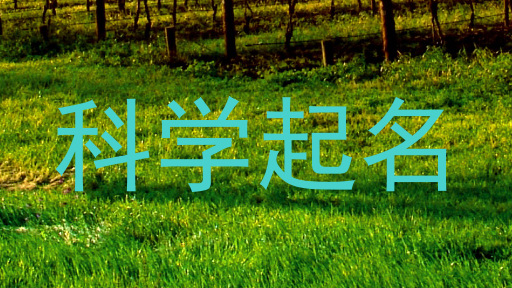 科学起名