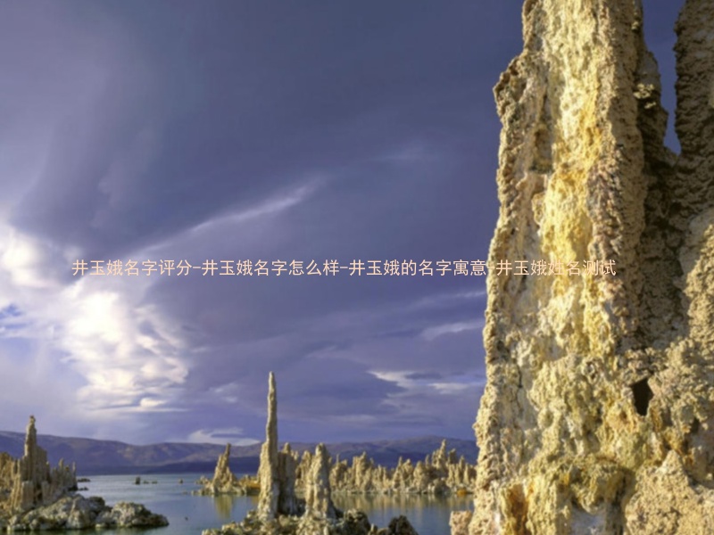 井玉娥名字评分-井玉娥名字怎么样-井玉娥的名字寓意-井玉娥姓名测试