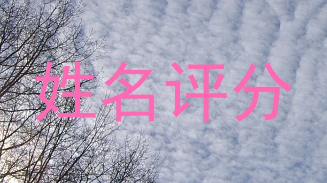 姓名评分