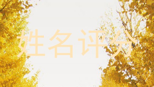 姓名评分