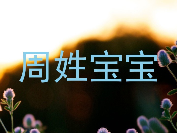 周姓宝宝