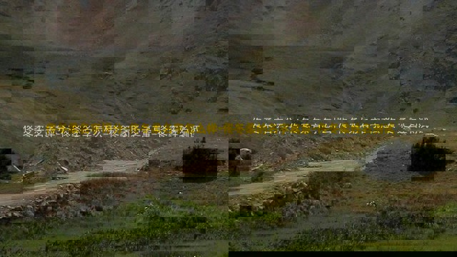 佟冬柔名字评分-佟冬柔名字怎么样-佟冬柔的名字寓意-佟冬柔姓名测试