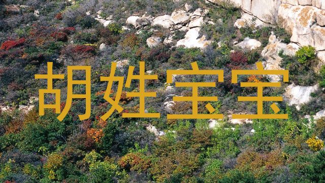 胡姓宝宝