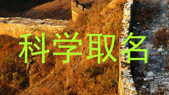 科学取名
