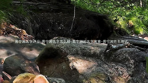 易宁湘名字评分-易宁湘名字怎么样-易宁湘的名字寓意-易宁湘姓名测试