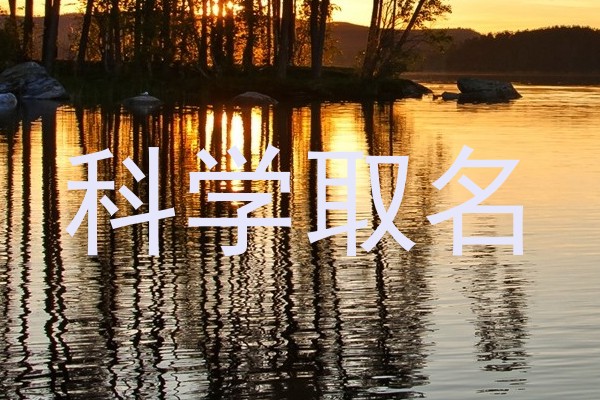 科学取名