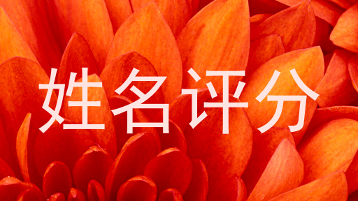 姓名评分