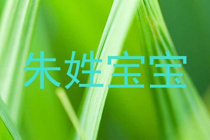朱姓宝宝