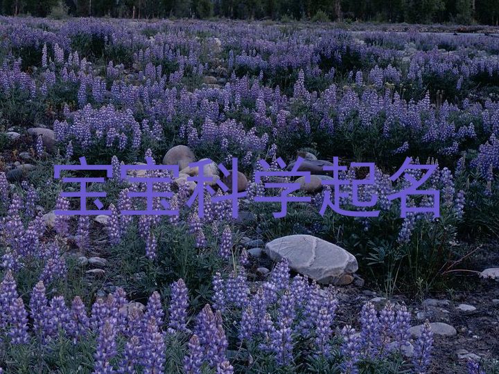 宝宝科学起名
