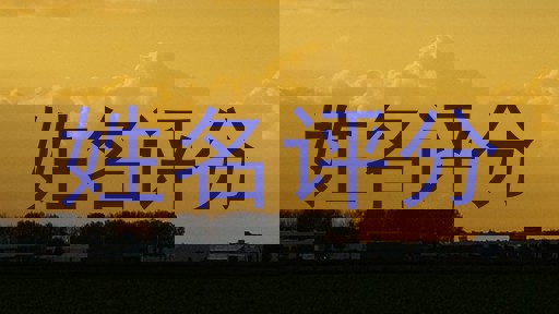 姓名评分